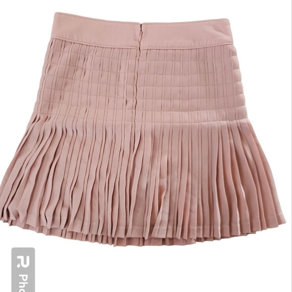 J.Crew Pleated Lattice Dusty Rose Mini Skirt - Picture 4 of 7